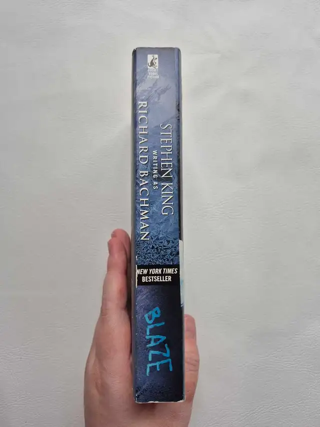 Blaze by Stephen King598691421221048322