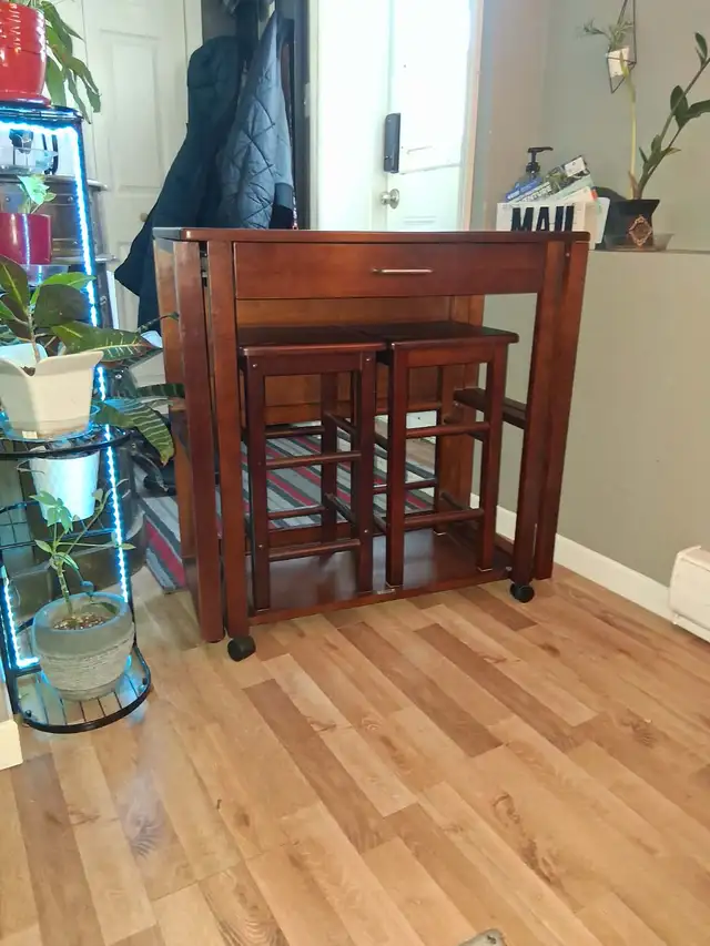 Kitchen / side table & Stools in Dining Tables & Sets in St. John's - Image 3