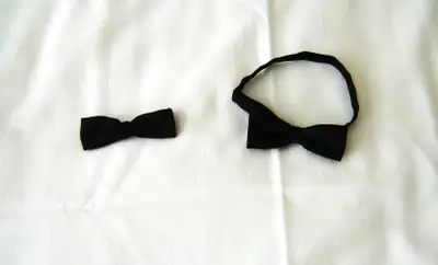 BOWTIES (ass't), View more