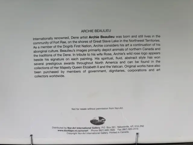 Framed northern art64379842761603121