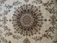 Tapis style perse / persian style rug