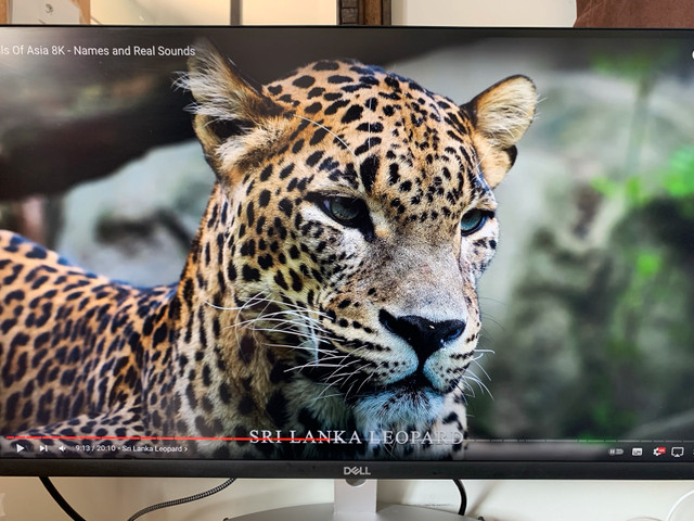 Dell 4K 27inch IPS monitor in Monitors in Calgary - Image 4