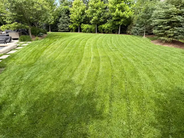 lawn care services 