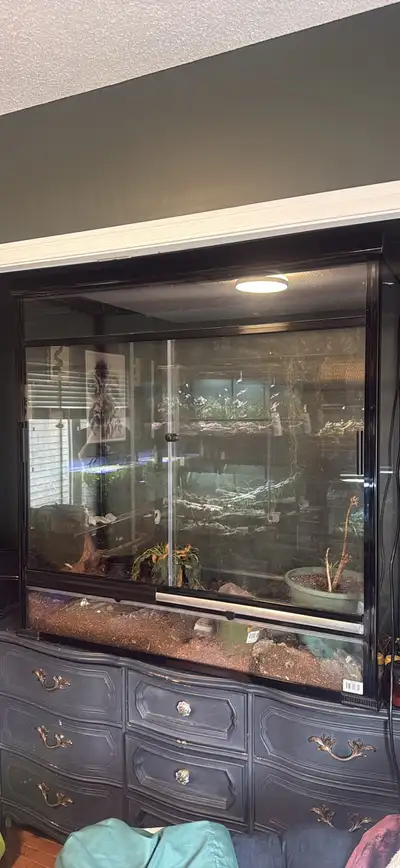 large reptile enclosure, View more