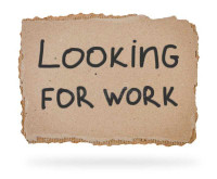 Looking for work - diverse skillset