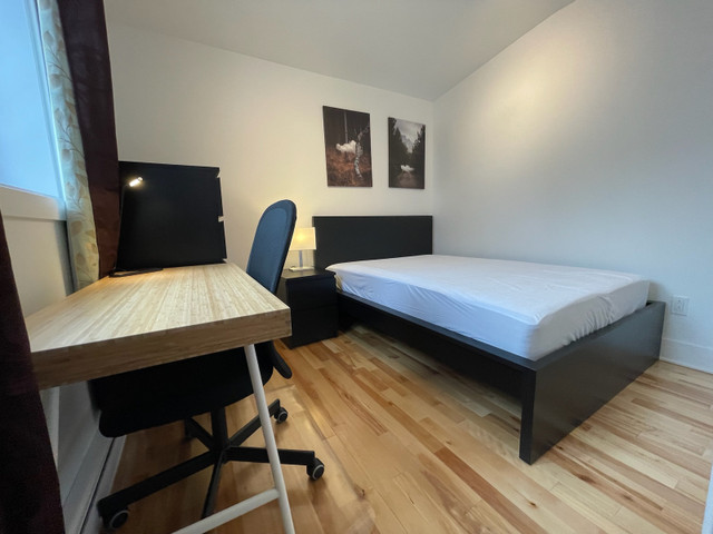 5 1/2 Plateau 3 chambres tout inclus - meublé - Disponible dans Locations longue durée  à Ville de Montréal - Image 4