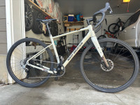 Rocky Mountain Solo 50 Gravel Bike