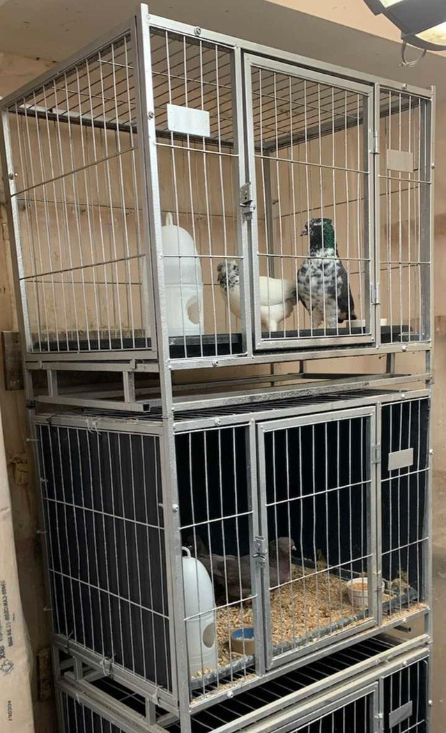Small Animal/Dog/Cat Cage Bank in Accessories in Peterborough