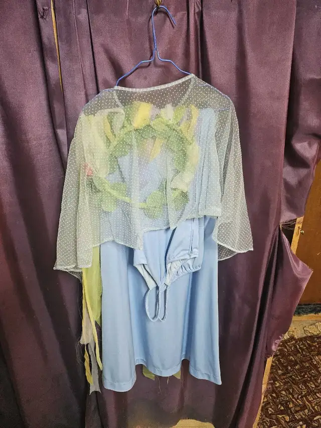 Costume fée des fleurs, medium in Costumes in Sherbrooke - Image 3