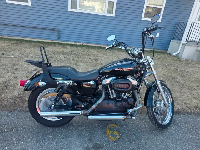 2007 Harley Davidson Sportster 883 in Street, Cruisers & Choppers in Saint John - Image 3