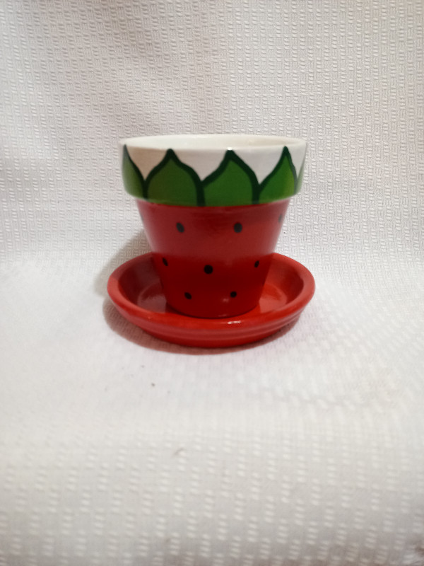 Watermellon &amp; Strawberry Cactus Planters *Handmade! in Home Décor & Accents in Mississauga / Peel Region - Image 3