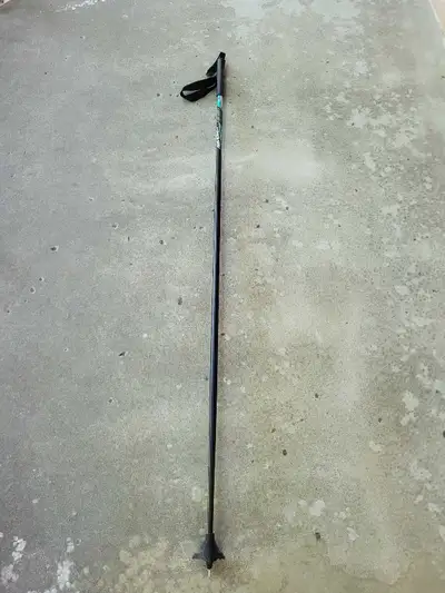 Favorit Ski Pole, View more