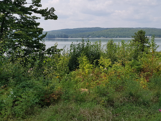 terrain a vendre acces lac Mandeville, Lanaudière dans Terrains à vendre  à Lanaudière - Image 2