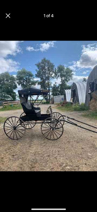  Antique doctors buggy