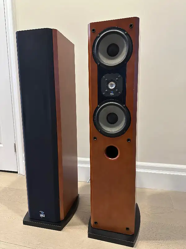 Speaker in Speakers in Markham / York Region - Image 4