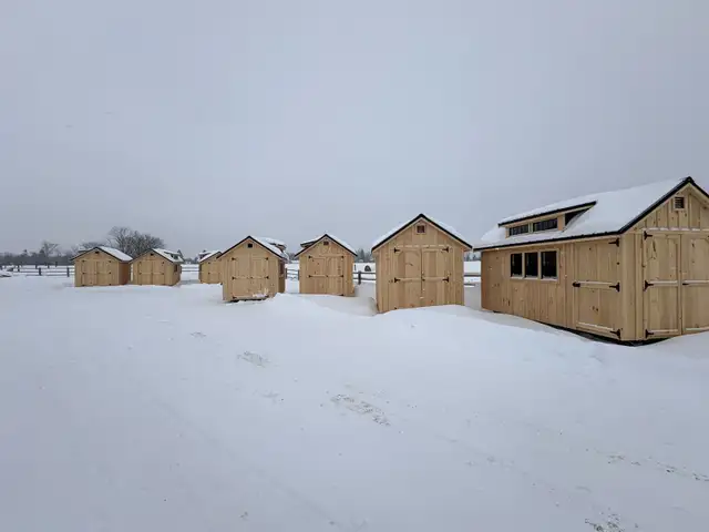8x14 shed with dormer WINTER PRICING STILL! in Outdoor Tools & Storage in Owen Sound - Image 9