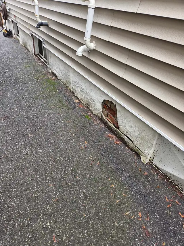 Renovation and Alterations542521846746337288