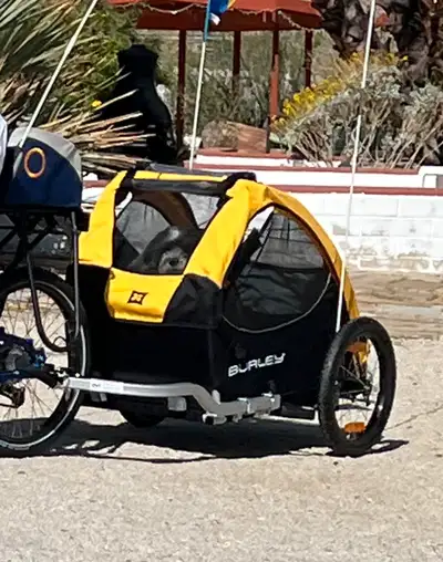 Burley Tail Wagon bike trailer for your dog Attaches to your bike or recumbent Originally purchased...