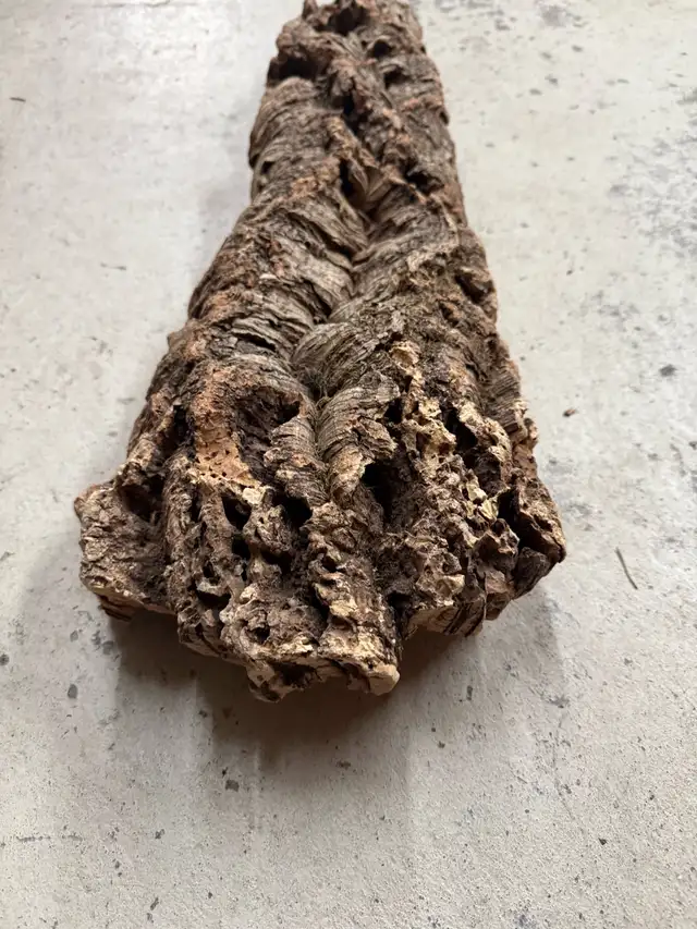 Écorce d’arbre 25 pouces de long par 9 et 5 pouces de largeur in Puerto Rico in Canada - Image 6