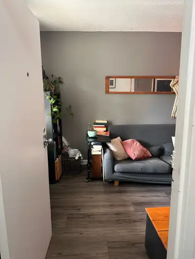 One Bedroom Apartment - New Edinburgh, View more