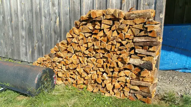 Cooking wild cherry wood in BBQs & Outdoor Cooking in Chatham-Kent - Image 2