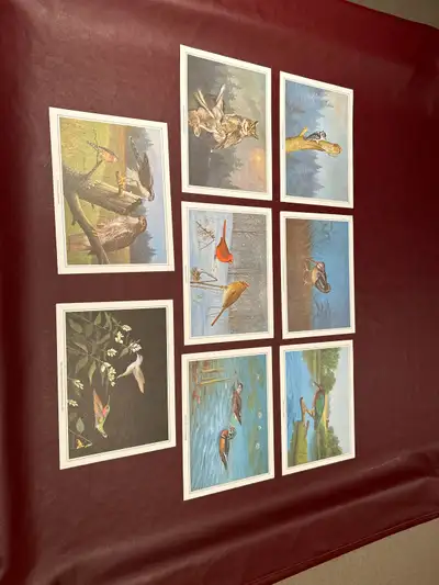Canadian artist Murray Killman bird prints $80 for the set of 8, View more