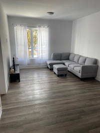 FULLY FURNISHED newly built 1 room in a 2 bed 1 bath apartment 