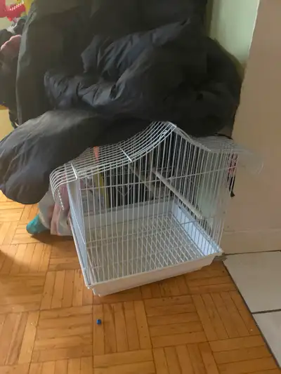 I’m selling two budgie cages. 1 is for $25 and 2 is $40.