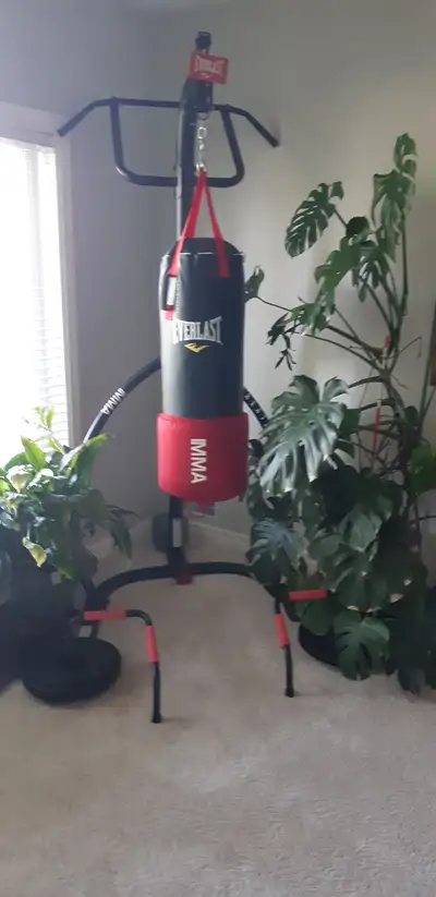 Punching bag with pull up stand and push up bar. weights not included.