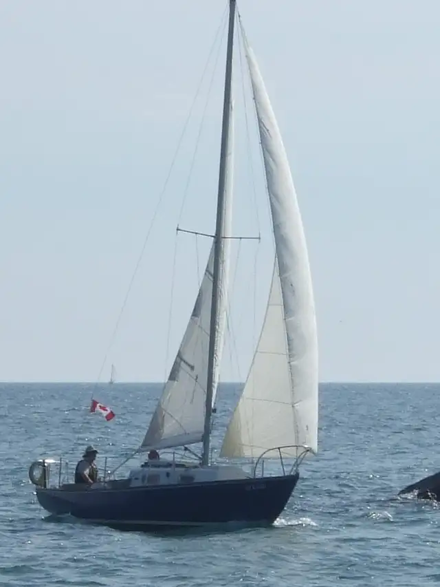 26ft Cruising sailboat for Sale with Rent to Own Option! in Sailboats in Oshawa / Durham Region - Image 2