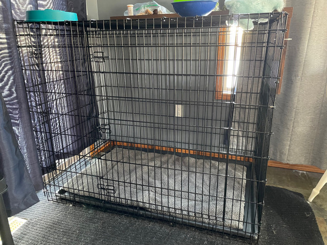 XXL Dog crate in Accessories in Regina - Image 2