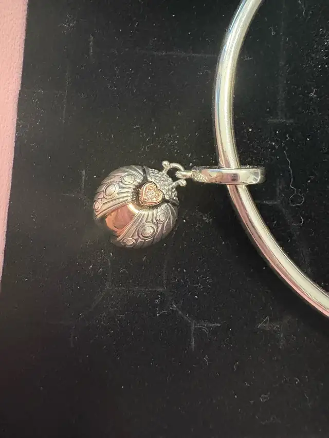 New Pandora Celestial Heart Clasp Bangle & Ladybird 2022 Heart62863736896513123