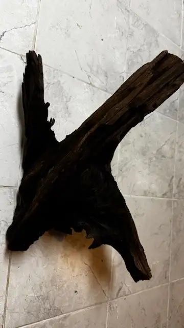 Malaysian Drift Wood, View more