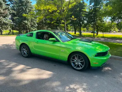 Selling 2014 mustang gt. Gotta Have it Green with black lettering and pinstripes. Quarter window lou...