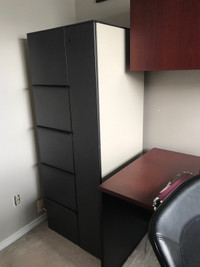 Heavy metal filing/ storage/ clothes cabinet 