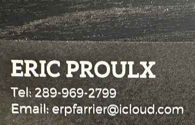 Eric Proulx farrier service, View more