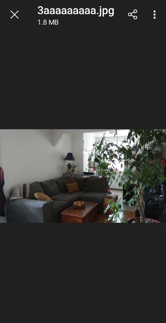 3½ a louer — photo 2