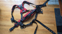 3M Protecta 3 point construction harness