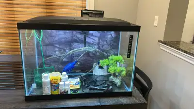 20 Gallon Aquarium, View more