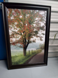 Framed Artwork "Almost Autumn" by D. Burt