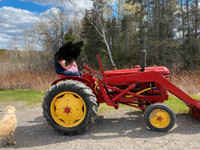Massey Harris Colt tractor 