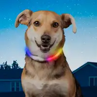 NightHowl Rechargeable LED Pet Safety Necklace