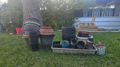 plant pots, View more