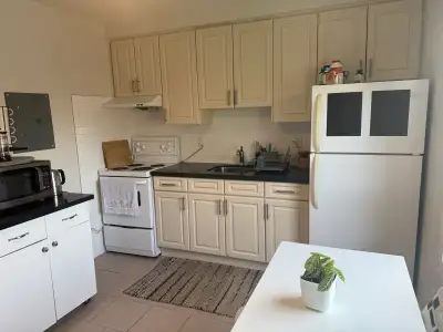 Updated 1 Bedroom Apartment in Dovercourt Village. Bright Eat-In Kichen with Upgraded Counters. Spac...