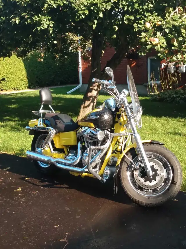 2009 CVO Fatbob Screaming Eagle  in Street, Cruisers & Choppers in Barrie - Image 6
