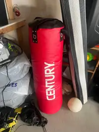 Boxing bag 80lbs used
