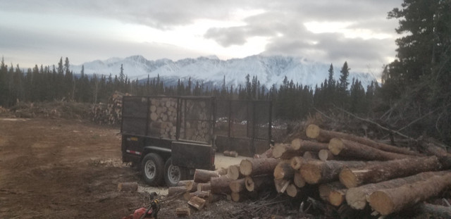 Firewood for sale! in BBQs & Outdoor Cooking in Whitehorse - Image 4