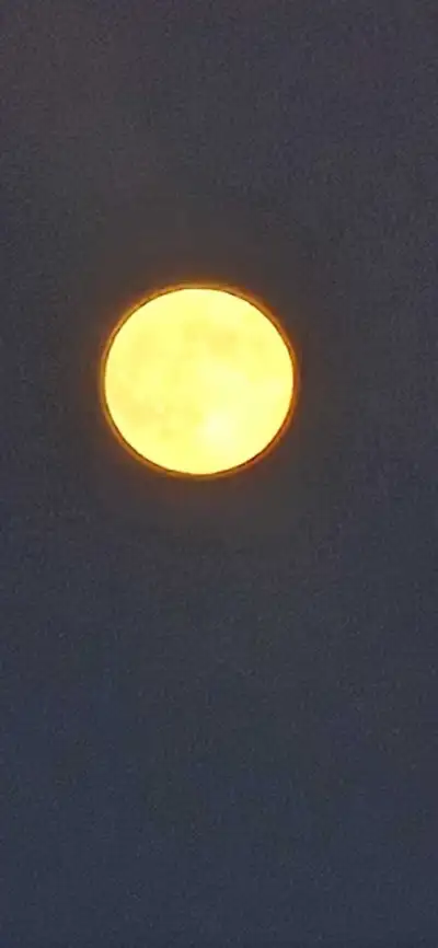 Looking for friends, View more