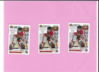 Hockey Rookie Cards from 1991-92 to 1994-95 (Kariya, Hasek, etc)