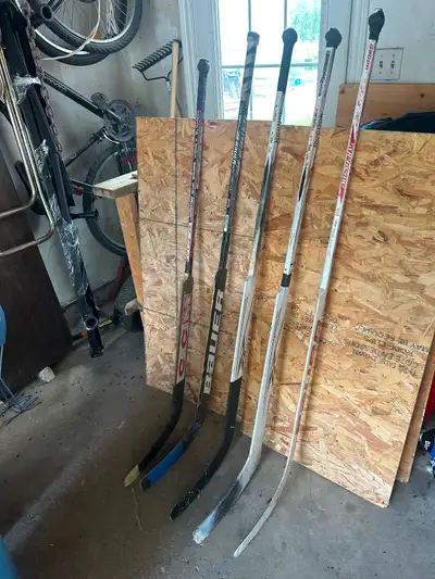 Goalie sticks (5).      NO tariffs, View more